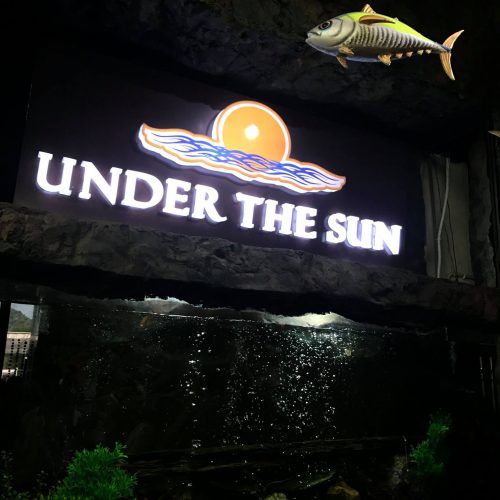Under the Sun Aquarium - Udaipur